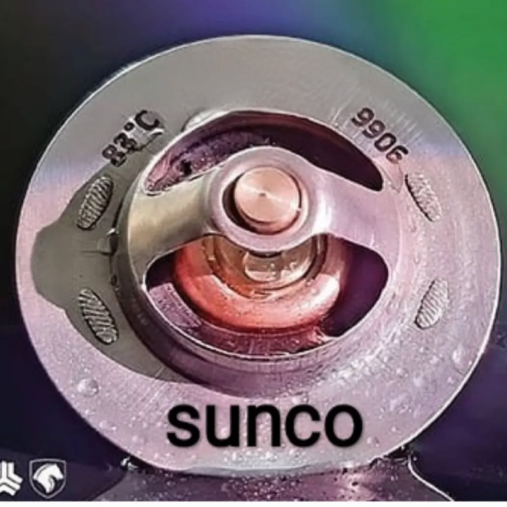 ترموستات پژو 405